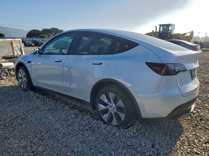 2023 TESLA MODEL Y #3303862787