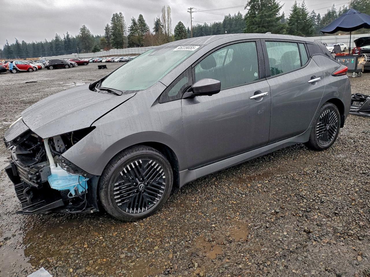 Lot #3311656261 2025 NISSAN LEAF SV PL