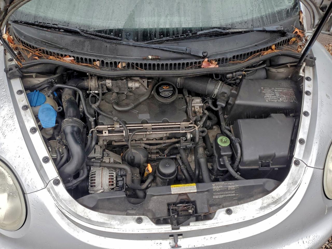 Lot #3308343044 2005 VOLKSWAGEN NEW BEETLE