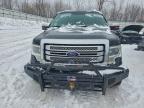 Lot #3318966925 2013 FORD F150 SUPER