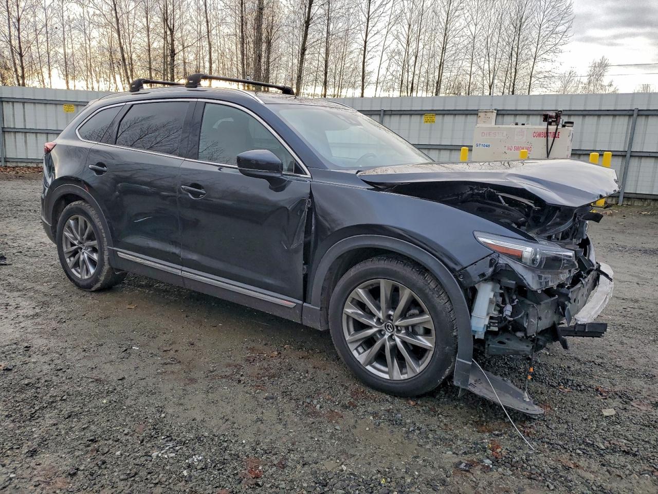 Lot #3308723995 2016 MAZDA CX-9 SIGNA