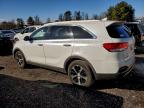 Lot #3303784423 2017 KIA SORENTO EX