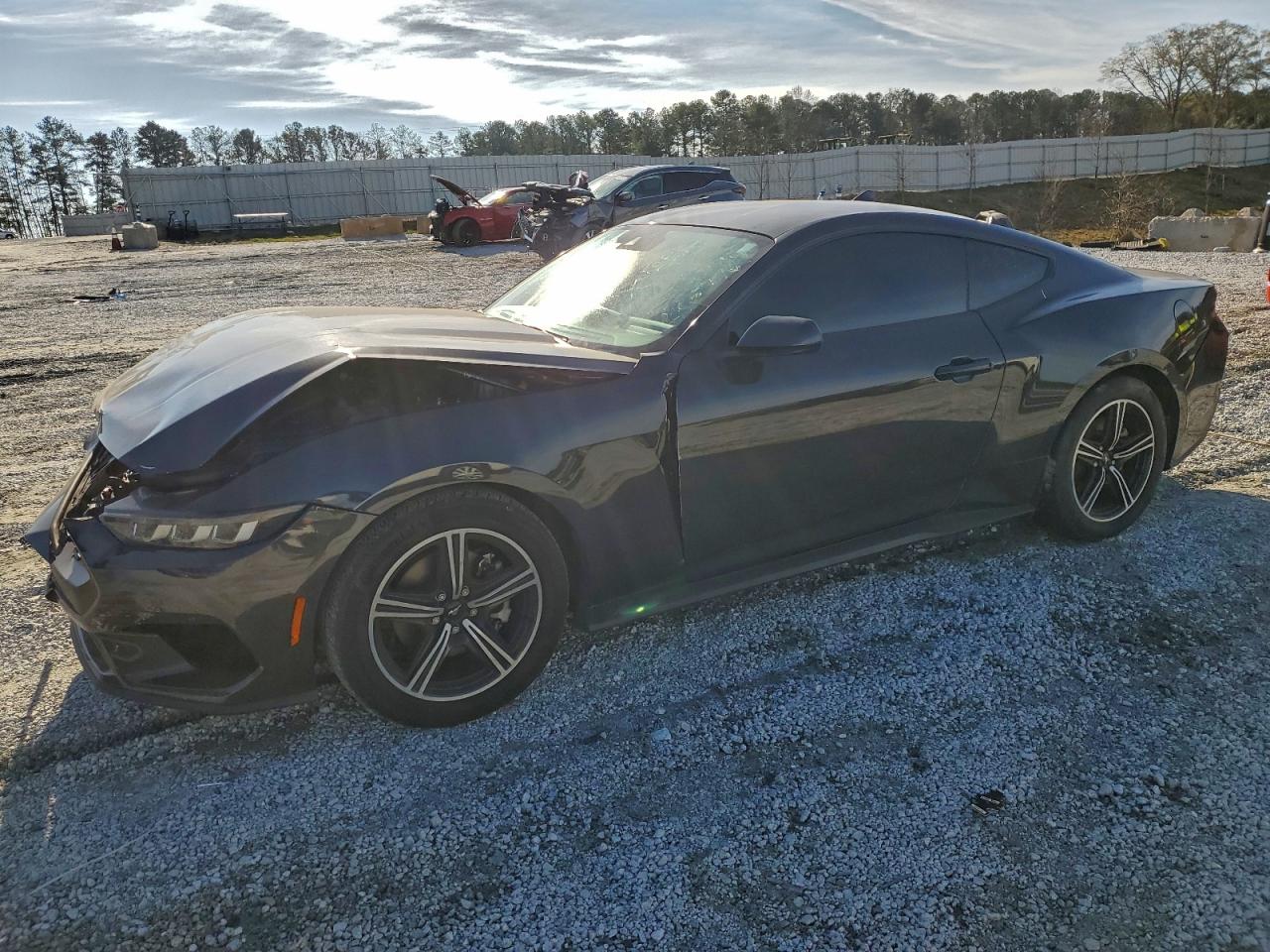 Lot #3316813422 2024 FORD MUSTANG