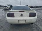 Lot #3308496111 2007 FORD MUSTANG