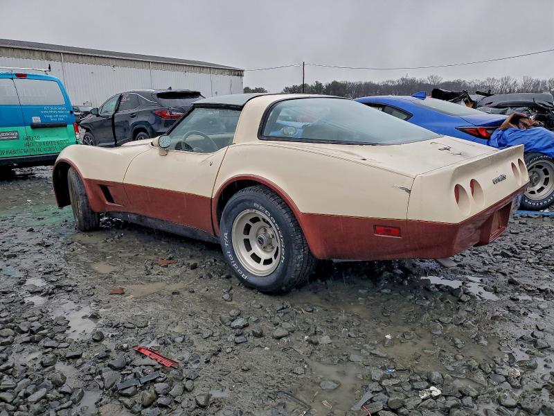 1981 CHEVROLET CORVETTE #3304748959