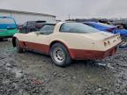 Lot #3304748959 1981 CHEVROLET CORVETTE