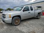 Lot #3316788449 2010 CHEVROLET SILVERADO