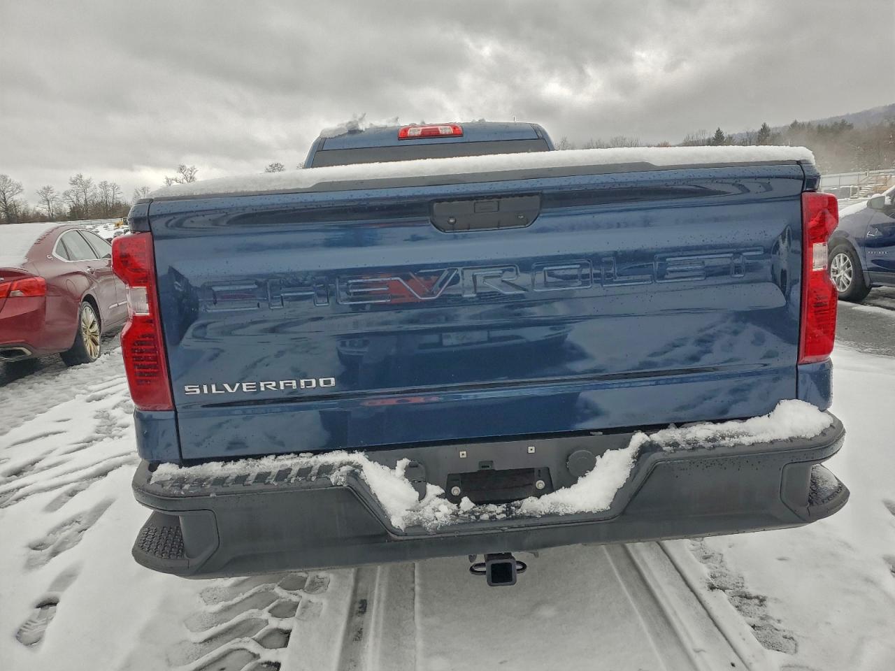 Lot #3316758428 2020 CHEVROLET SILVERADO