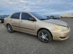 Lot #3312623167 2005 TOYOTA COROLLA CE