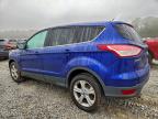 Lot #3305389311 2013 FORD ESCAPE SE