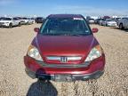 Lot #3304887555 2007 HONDA CR-V EXL