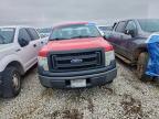 Lot #3304514450 2013 FORD F150