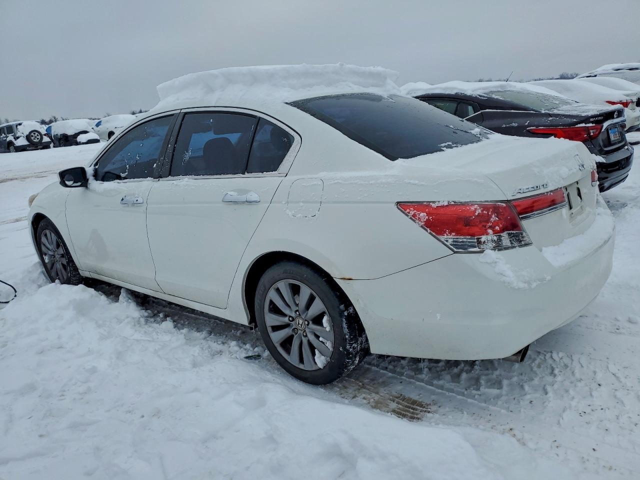 HONDA ACCORD EXL