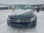 Lot #3312583171 2016 VOLKSWAGEN TIGUAN S