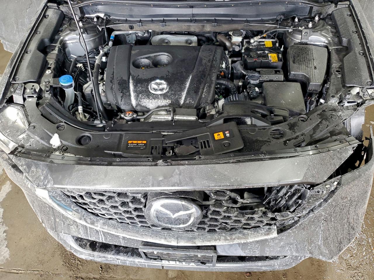 Lot #3317760091 2025 MAZDA CX-5 SELEC