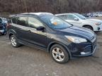 Lot #3309190624 2013 FORD ESCAPE SE