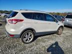 Lot #3310587047 2014 FORD ESCAPE TIT
