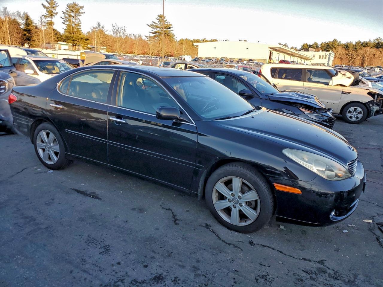 Lot #3316829409 2005 LEXUS ES 330