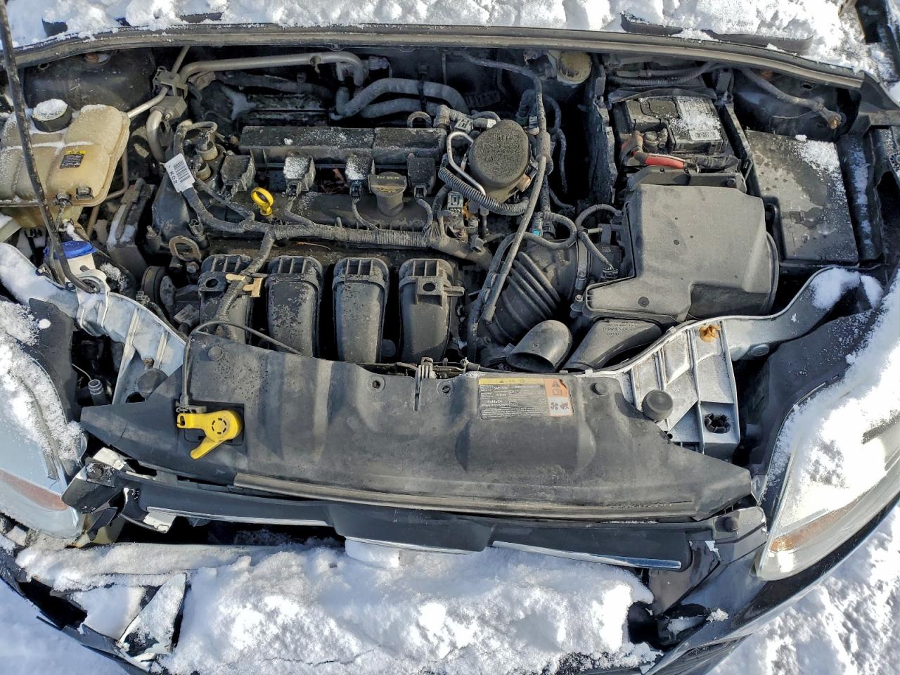 Lot #3317735089 2012 FORD FOCUS SE