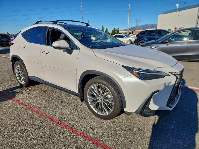 2022 LEXUS NX 350H #3308601501