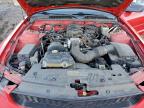 Lot #3313702150 2005 FORD MUSTANG