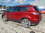 Lot #3310324998 2014 FORD ESCAPE SE