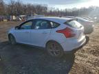 Lot #3306393549 2014 FORD FOCUS SE