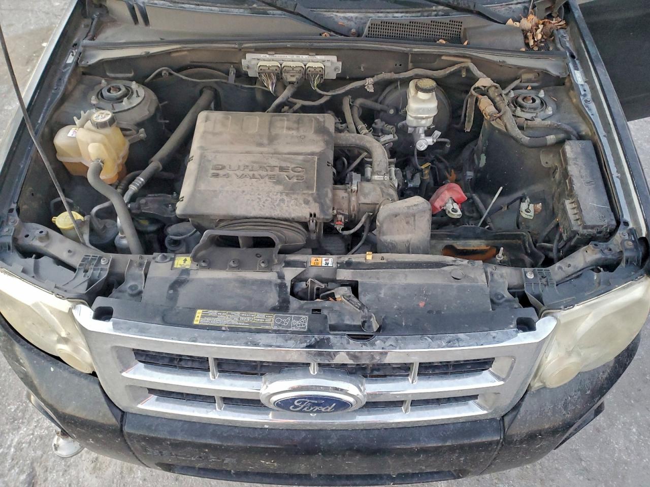 Lot #3311655285 2009 FORD ESCAPE XLT