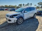 Lot #3310587047 2014 FORD ESCAPE TIT