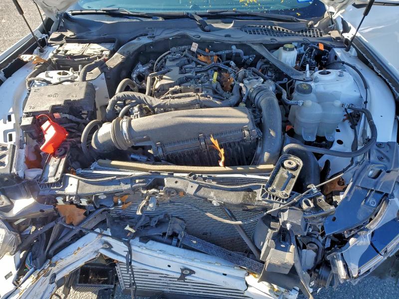 2024 FORD MUSTANG #3305499067