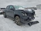 Lot #3308381384 2017 CHEVROLET COLORADO Z
