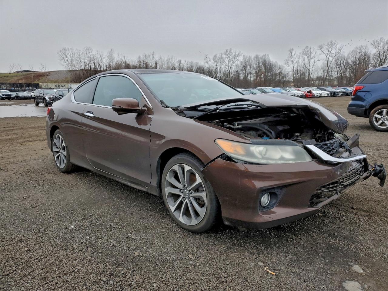 Lot #3305301336 2013 HONDA ACCORD EXL