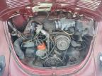 Lot #3305381330 1977 VOLKSWAGEN BEETLE CON