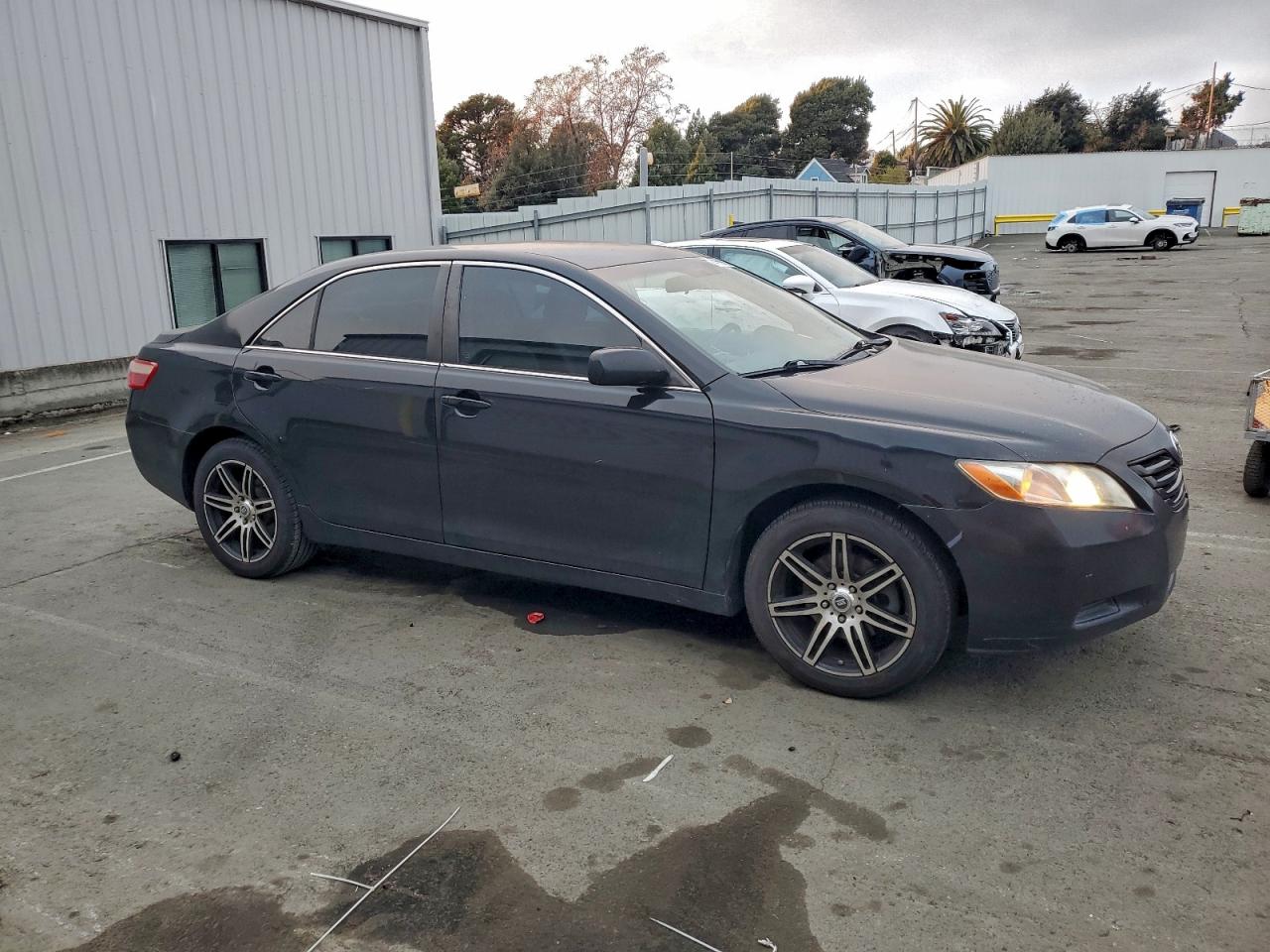 Lot #3309648933 2009 TOYOTA CAMRY BASE