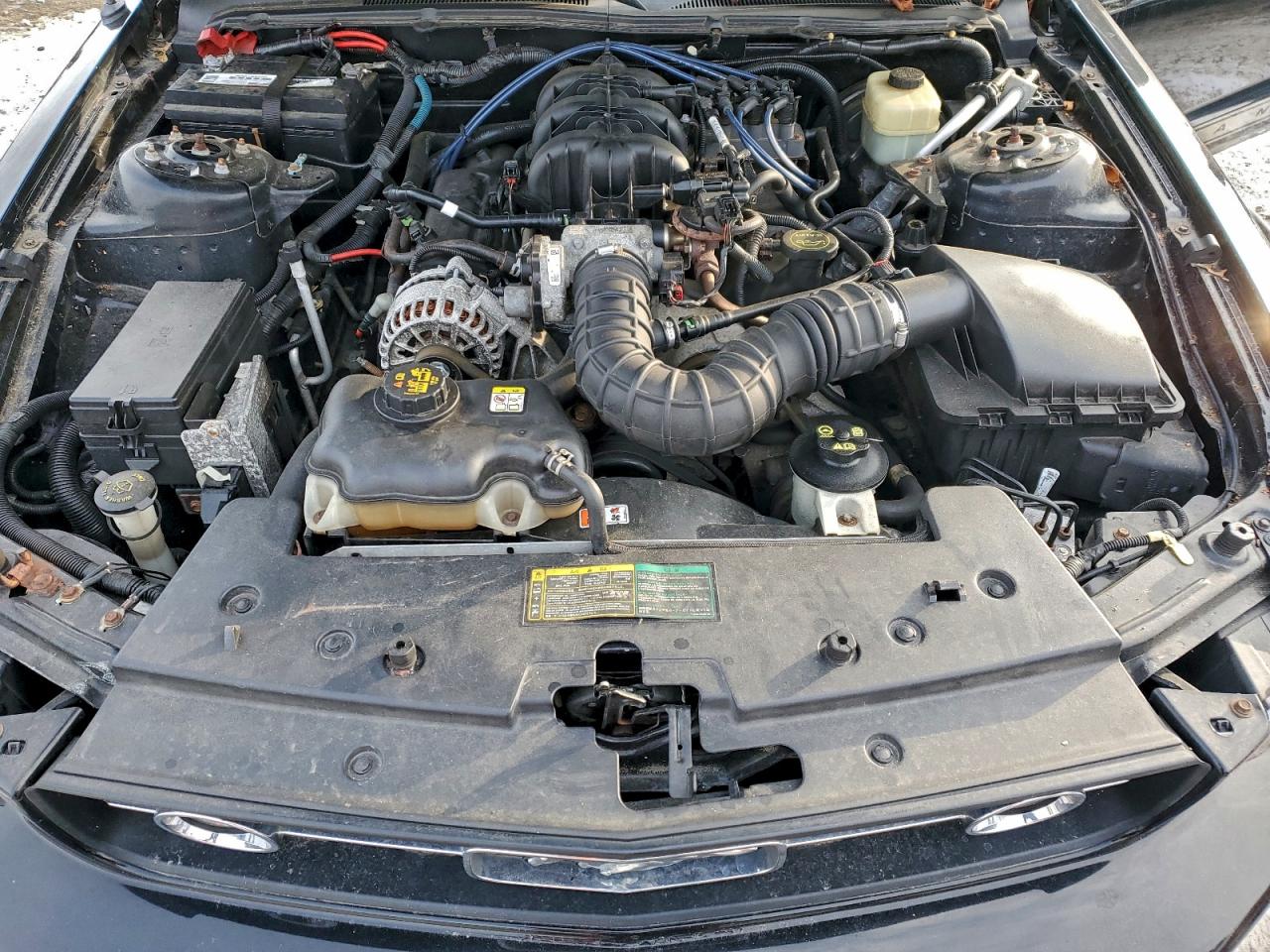 Lot #3310408006 2006 FORD MUSTANG