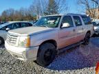 Lot #3316736428 2004 CADILLAC ESCALADE E