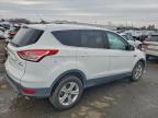 Lot #3305301314 2014 FORD ESCAPE SE