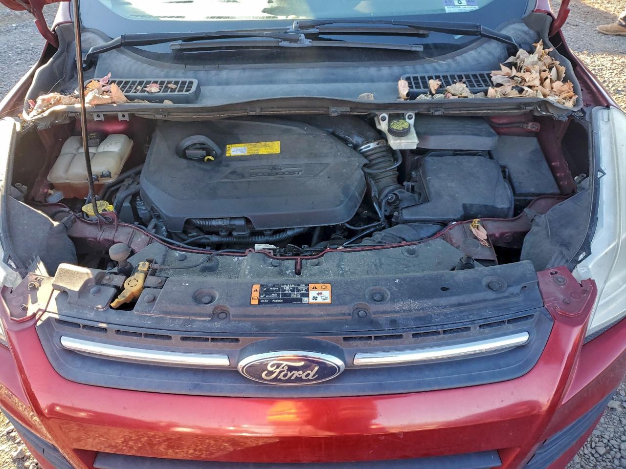 Lot #3312321783 2015 FORD ESCAPE SE