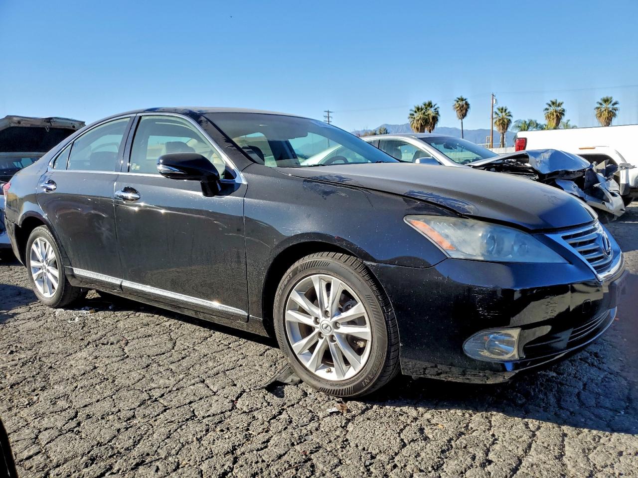 Lot #3317027080 2011 LEXUS ES 350