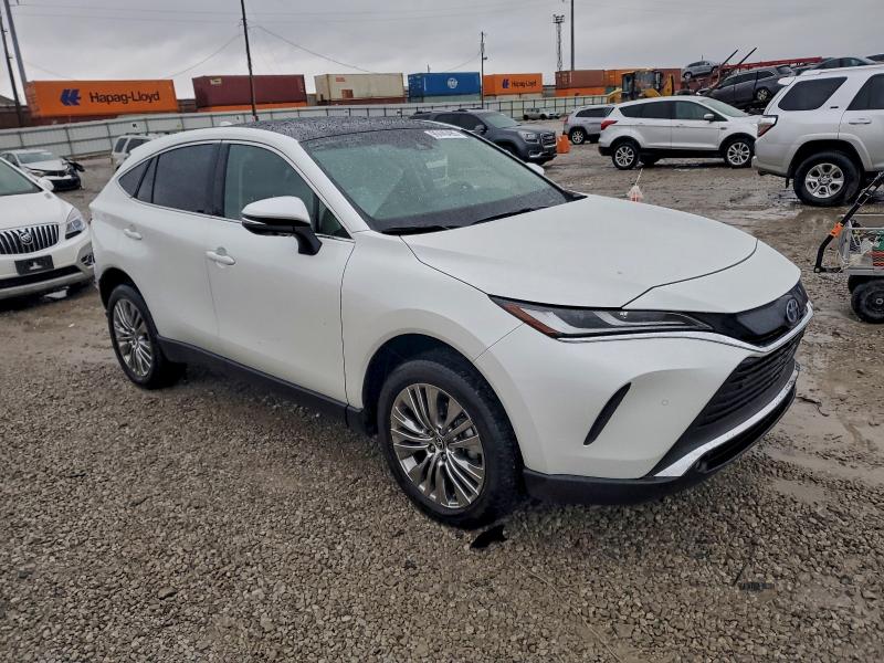 2024 TOYOTA VENZA LE #3310483102