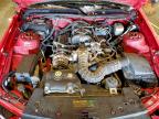 Lot #3304538441 2008 FORD MUSTANG