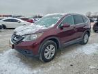 Lot #3311623314 2014 HONDA CR-V EXL
