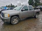 Lot #3311496261 2009 CHEVROLET SILVERADO