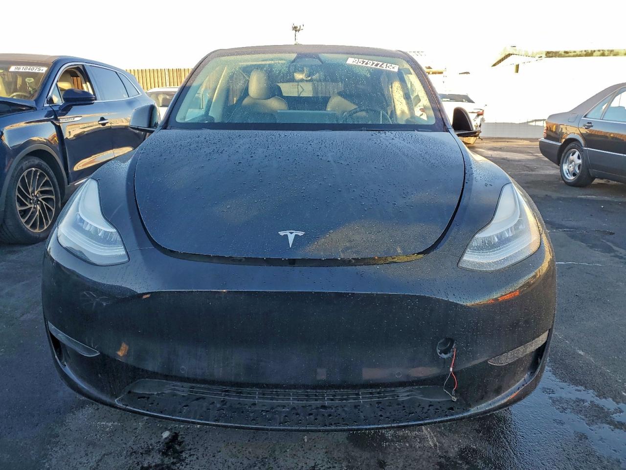 Lot #3318116369 2022 TESLA MODEL Y