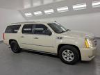 Lot #3302659104 2009 CADILLAC ESCALADE E