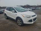 Lot #3304515546 2014 FORD ESCAPE TIT