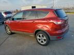 Lot #3304822552 2014 FORD ESCAPE SE