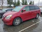Lot #3319093275 2005 HONDA ODYSSEY EX