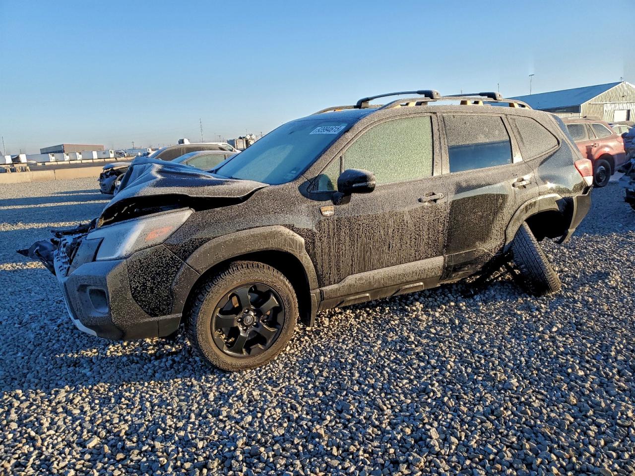 SUBARU FORESTER WILDERNESS