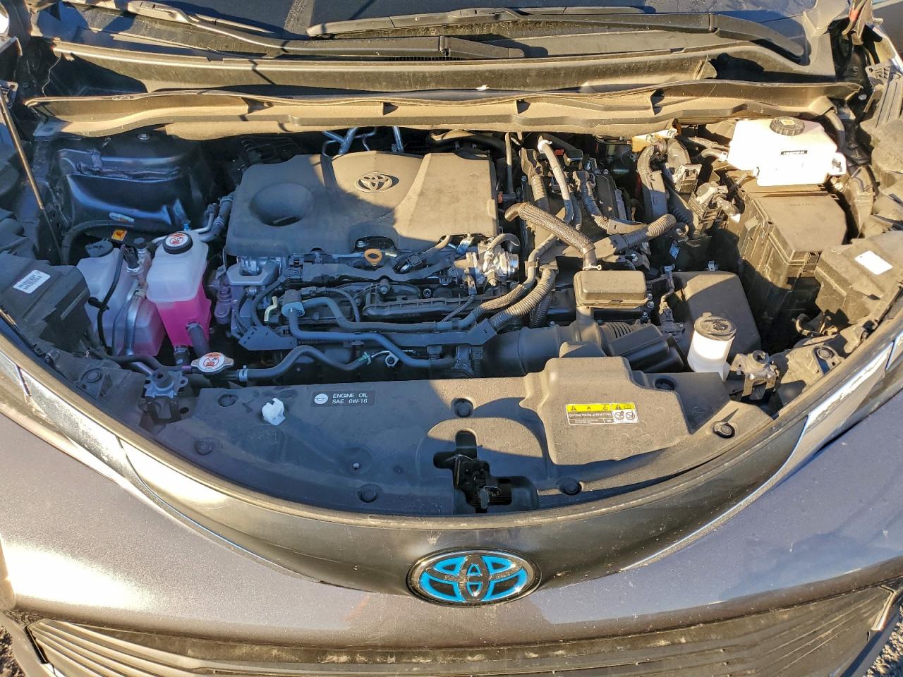 Lot #3317121982 2025 TOYOTA SIENNA LE